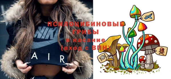 СК Ростов