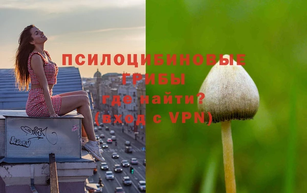 ешки Россошь
