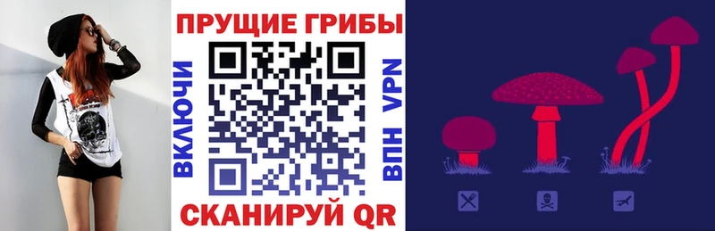 Псилоцибиновые грибы GOLDEN TEACHER  Бородино 